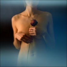 Rose / ***