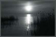 Abendkühle / ***