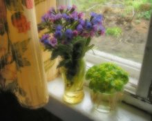 Sommertraum / *****