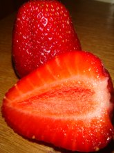 Erdbeere / ***