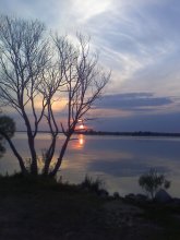 Blick / ***