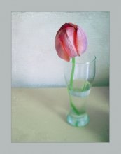 nezhzhnost. 2 / ***