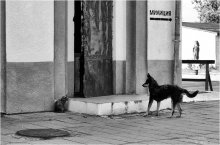 Konflikt / *****