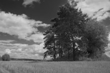 Mound am Rand des Feldes / ***