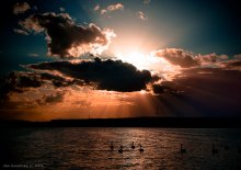 Schwanensee / ***