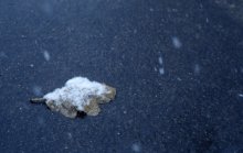 Schneeregen / ***