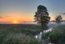 Morgen Sonne und Nebel / ****************