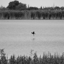 rybachek / ***