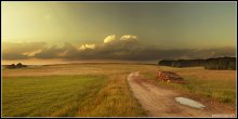 Roadside ... / ***