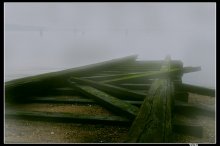 Nebel / ***