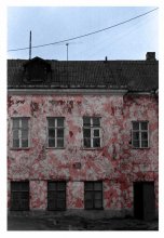 dom s nazolinom / czehov)