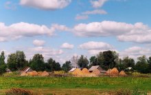 Village in Pripjat. Faraway 1999 ... / ......