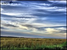 Der Himmel und das Feld / ***