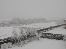 Winter / ***