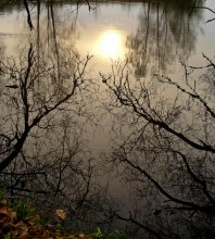 Reflexion ... / ***