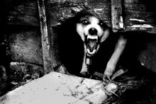 Arrr... / ***