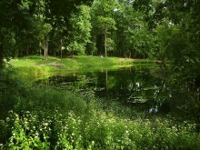 Am Teich / ***