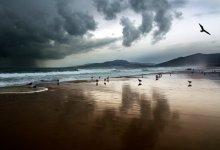 Storm / ***