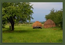 Landschaft im ländlichen Raum / ***