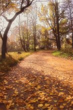 Herbst Weg ... / ***