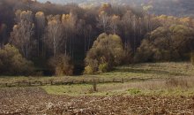 Sredneosenny Landschaft / ***
