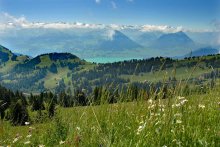 Alpine Image / ***