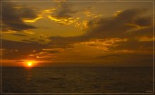 Abendspaziergang / ***