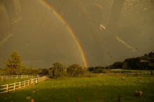 Regenbogen / ***