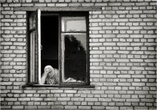 "Sonstige" Leben / *****