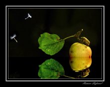 Seltsam das alles seltsam .... / ***