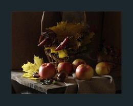 Herbst / ***