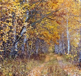 Herbst / ***