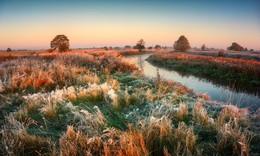 Ein frostiger Morgen / ***