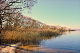 Ein frostiger Morgen / ***