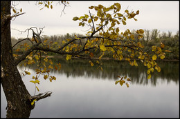 Herbst-Skizzen / ***