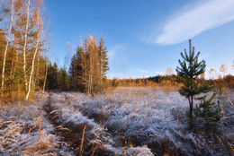 Der erste Schnee / ***