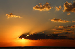 Sonnig Drache / ***