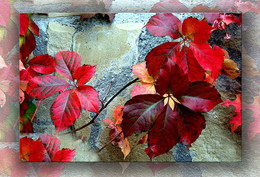 Herbst / ***