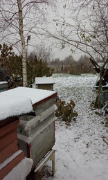 Der erste Schnee / ***