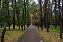 Herbstpfade / ***
