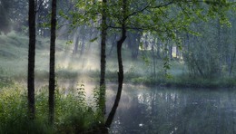 Am Teich ... / ***