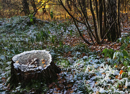 Der erste Schnee / ***