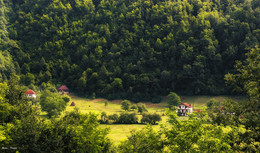 Crna Gora (Montenegro) #24 / ***