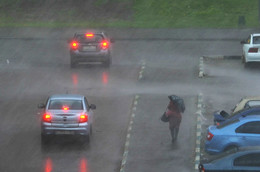Regenguss / ***