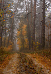 Bor / ***