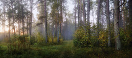 Herbstmorgen ... / ***