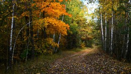 Herbststraße / ***