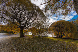 Herbst im Park / ***