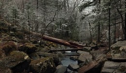 Erster Schnee in den Bergen. / ***