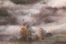  / https://max-helloween.livejournal.com/152916.html